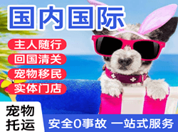巴彦淖尔空运公司国际宠物托运 【国